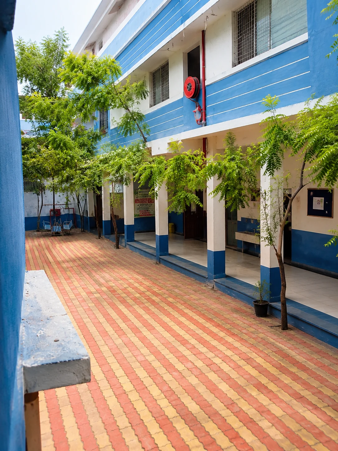 Campus greenery and outdoor space